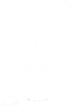 Logo de Twig